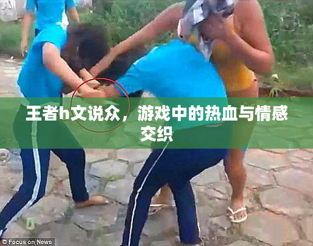 王者h文说众，游戏中的热血与情感交织