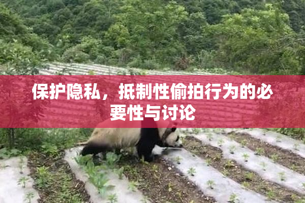 保护隐私，抵制性偷拍行为的必要性与讨论