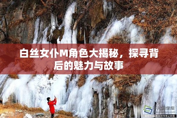 白丝女仆M角色大揭秘，探寻背后的魅力与故事