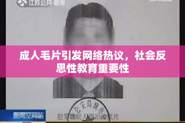 成人毛片引发网络热议，社会反思性教育重要性