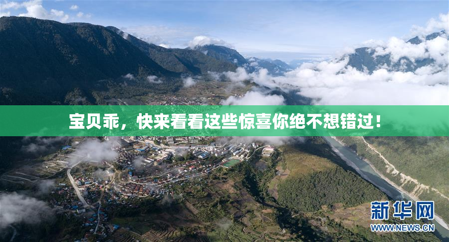 宝贝乖，快来看看这些惊喜你绝不想错过！