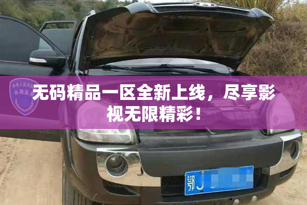 无码精品一区全新上线，尽享影视无限精彩！