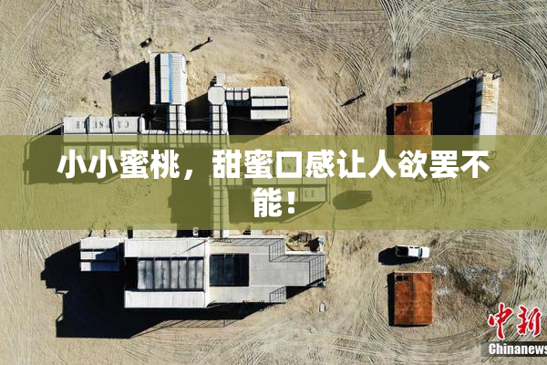 小小蜜桃，甜蜜口感让人欲罢不能！
