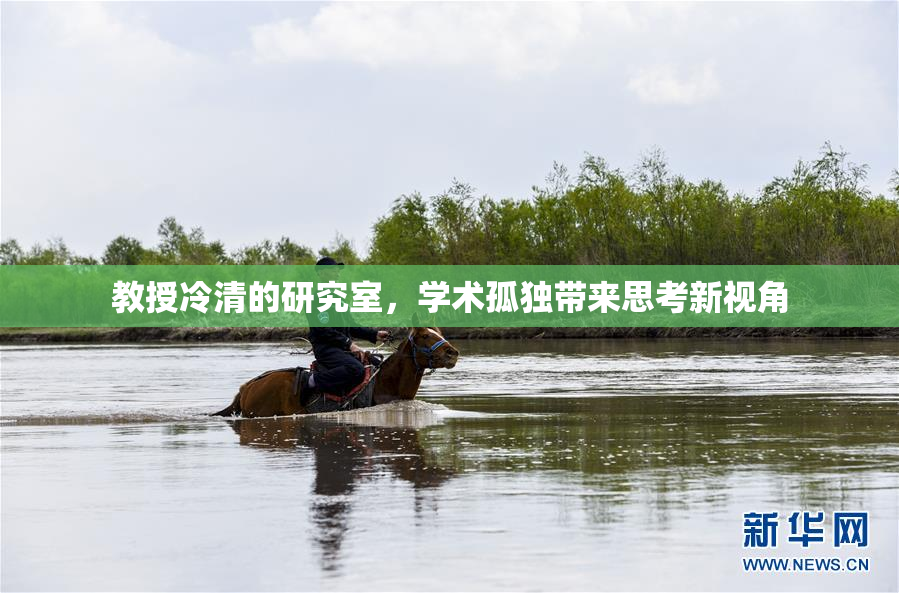 教授冷清的研究室，学术孤独带来思考新视角