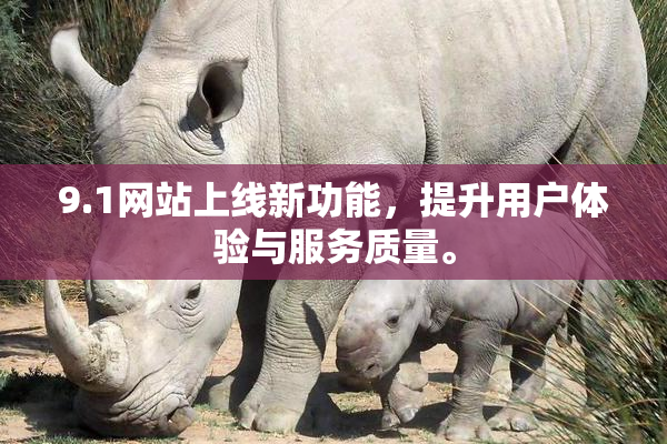 9.1网站上线新功能，提升用户体验与服务质量。