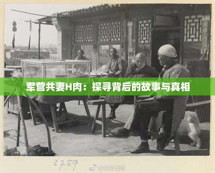 军营共妻H肉：探寻背后的故事与真相