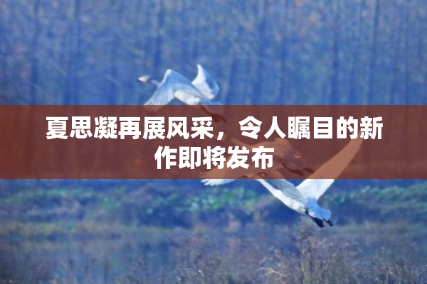 夏思凝再展风采，令人瞩目的新作即将发布