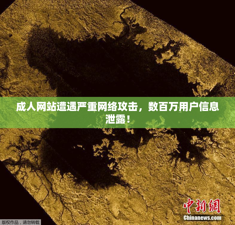 成人网站遭遇严重网络攻击，数百万用户信息泄露！