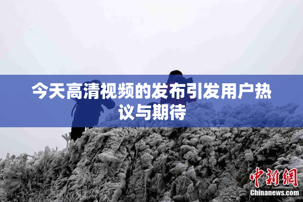 今天高清视频的发布引发用户热议与期待
