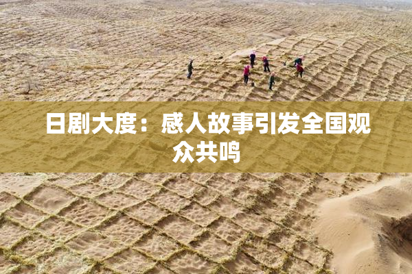 日剧大度：感人故事引发全国观众共鸣