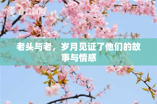 老头与老，岁月见证了他们的故事与情感