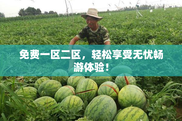 免费一区二区，轻松享受无忧畅游体验！