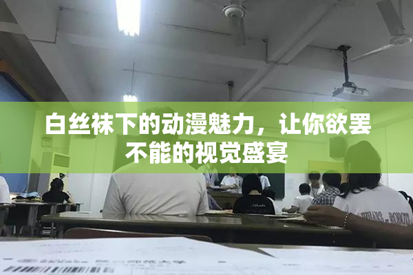 白丝袜下的动漫魅力，让你欲罢不能的视觉盛宴