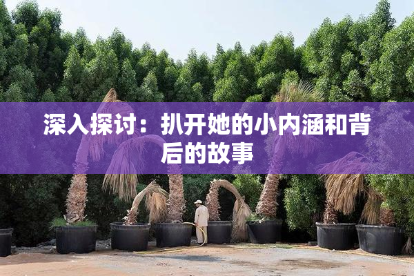 深入探讨：扒开她的小内涵和背后的故事