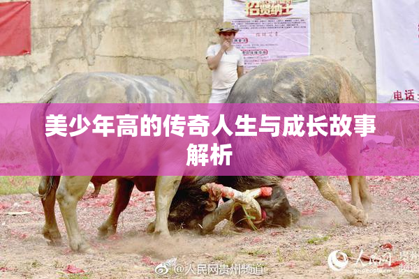 美少年高的传奇人生与成长故事解析