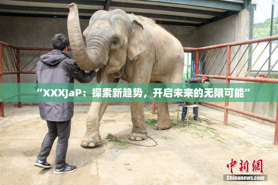 “XXXJaP：探索新趋势，开启未来的无限可能”