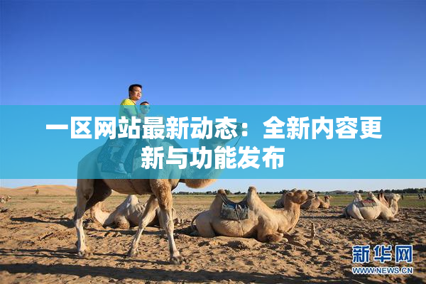 一区网站最新动态：全新内容更新与功能发布