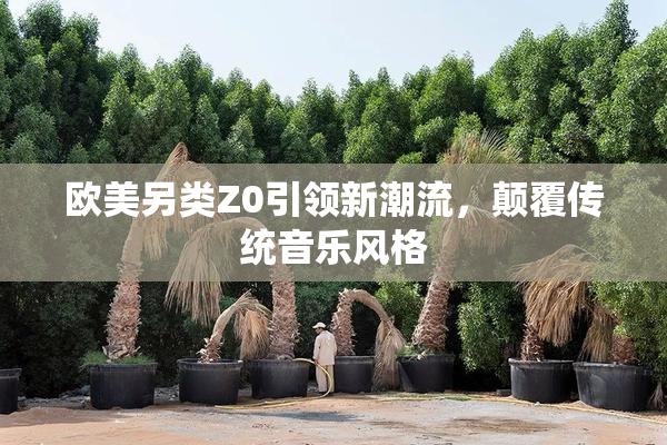 欧美另类Z0引领新潮流，颠覆传统音乐风格