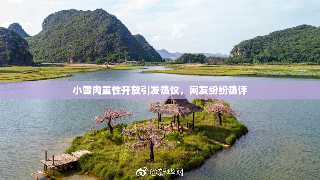 小雪肉重性开放引发热议，网友纷纷热评