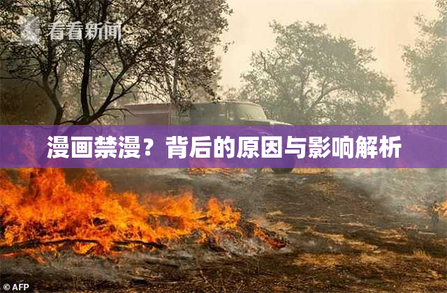 漫画禁漫？背后的原因与影响解析