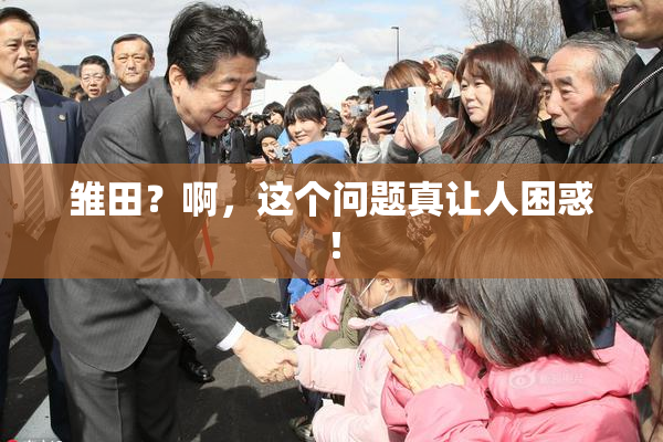 雏田？啊，这个问题真让人困惑！