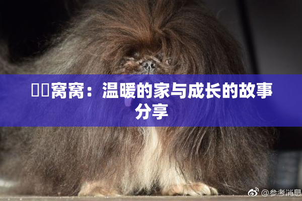 妺妺窝窝：温暖的家与成长的故事分享