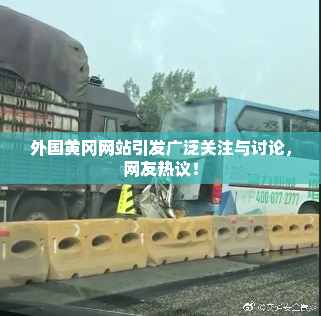 外国黄冈网站引发广泛关注与讨论，网友热议！