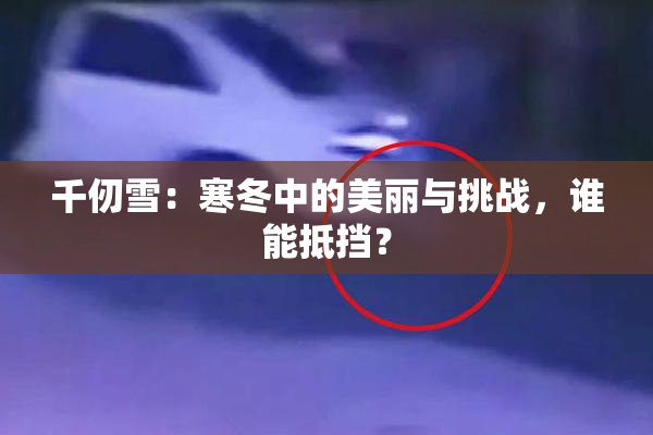 千仞雪：寒冬中的美丽与挑战，谁能抵挡？