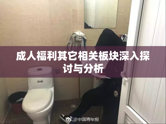 成人福利其它相关板块深入探讨与分析