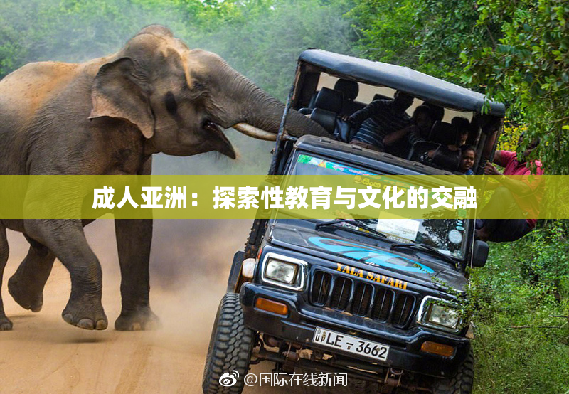 成人亚洲：探索性教育与文化的交融