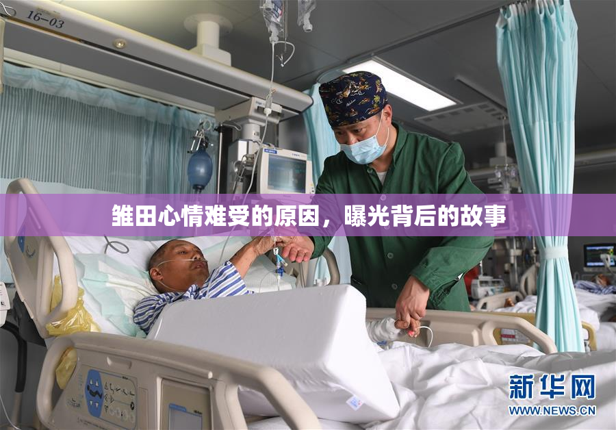 雏田心情难受的原因，曝光背后的故事