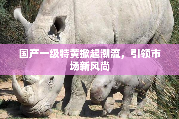 国产一级特黄掀起潮流，引领市场新风尚