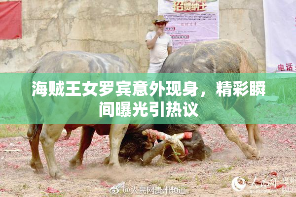 海贼王女罗宾意外现身，精彩瞬间曝光引热议