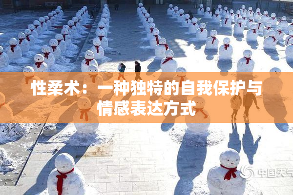 性柔术：一种独特的自我保护与情感表达方式