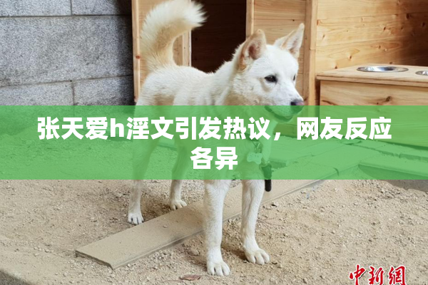 张天爱h淫文引发热议，网友反应各异