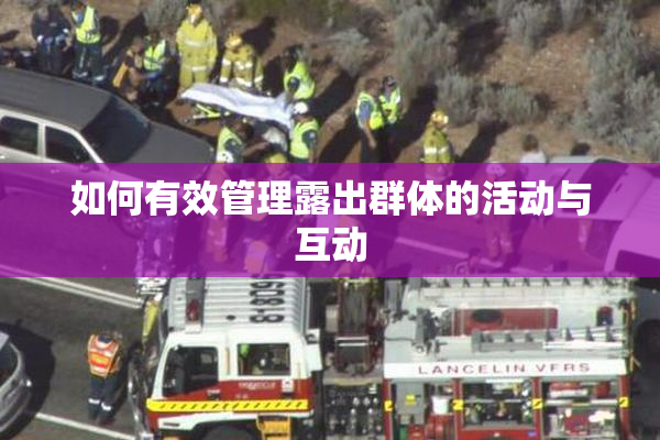 如何有效管理露出群体的活动与互动