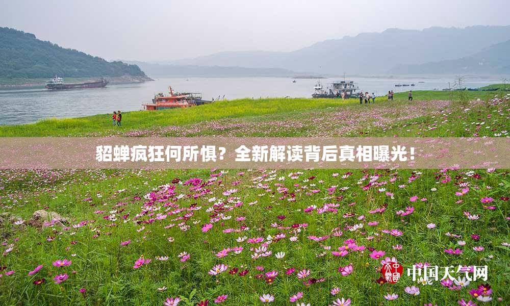 貂蝉疯狂何所惧？全新解读背后真相曝光！