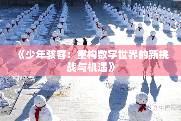 《少年骇客：重构数字世界的新挑战与机遇》