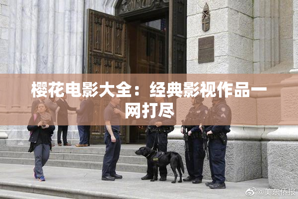 樱花电影大全：经典影视作品一网打尽
