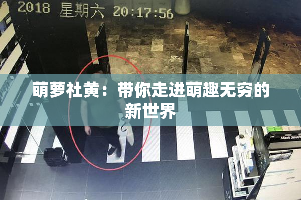 萌萝社黄：带你走进萌趣无穷的新世界