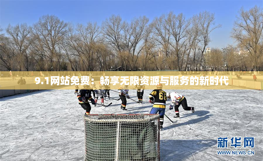 9.1网站免费：畅享无限资源与服务的新时代