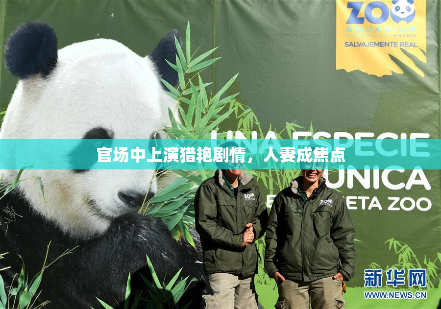 官场中上演猎艳剧情，人妻成焦点