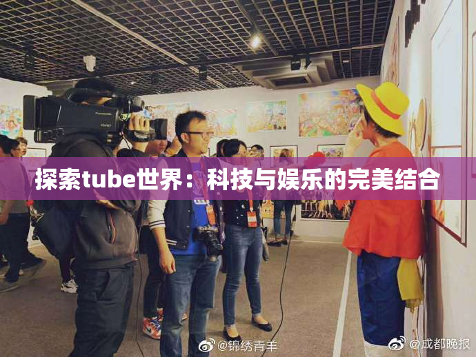 探索tube世界：科技与娱乐的完美结合