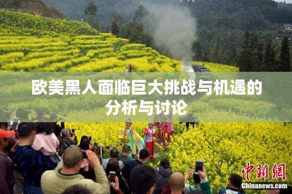 欧美黑人面临巨大挑战与机遇的分析与讨论