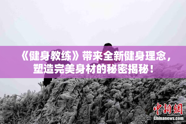《健身教练》带来全新健身理念，塑造完美身材的秘密揭秘！