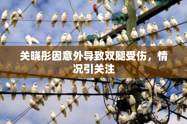 关晓彤因意外导致双腿受伤，情况引关注