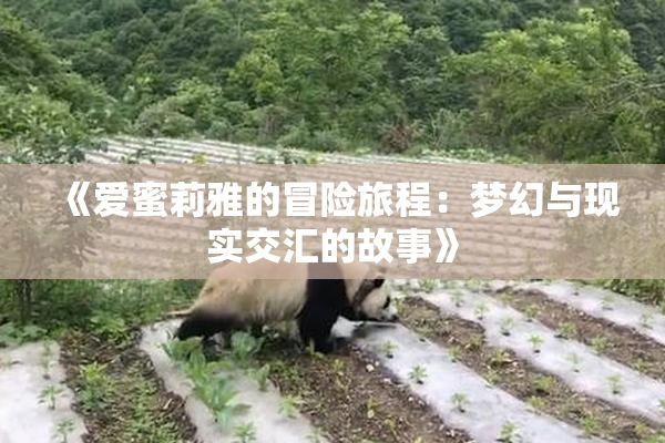 《爱蜜莉雅的冒险旅程：梦幻与现实交汇的故事》