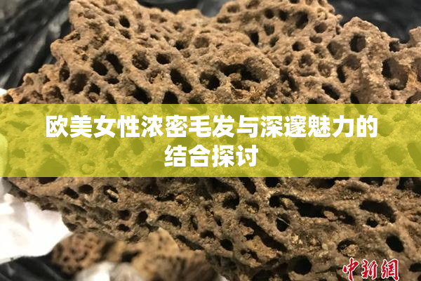 欧美女性浓密毛发与深邃魅力的结合探讨