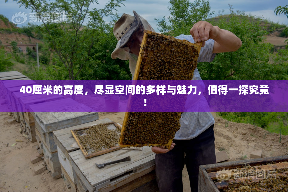 40厘米的高度，尽显空间的多样与魅力，值得一探究竟！