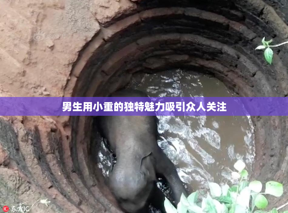 男生用小重的独特魅力吸引众人关注